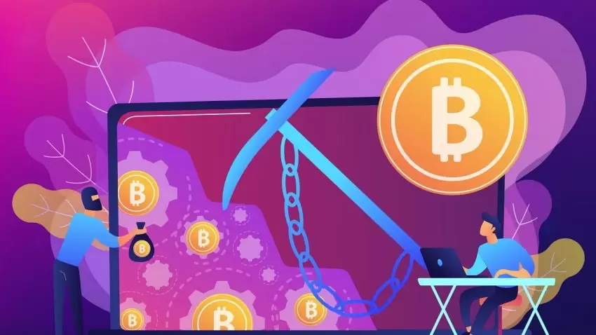 加密货币钱包安全性调查:用户需加强个人信息保护